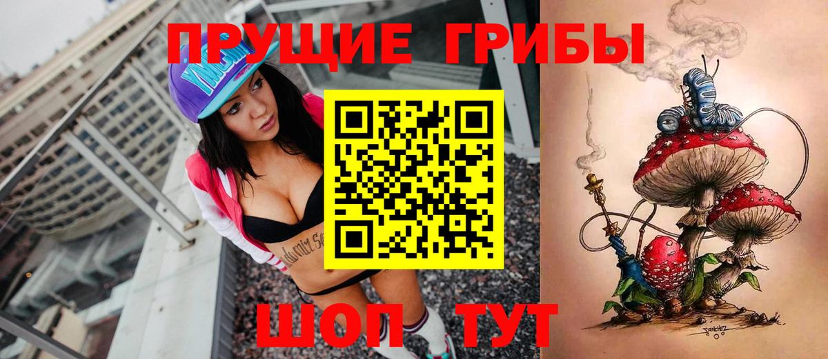 Кстово  Псилоцибиновые грибы Psilocybine cubensis  Вход с VPN 